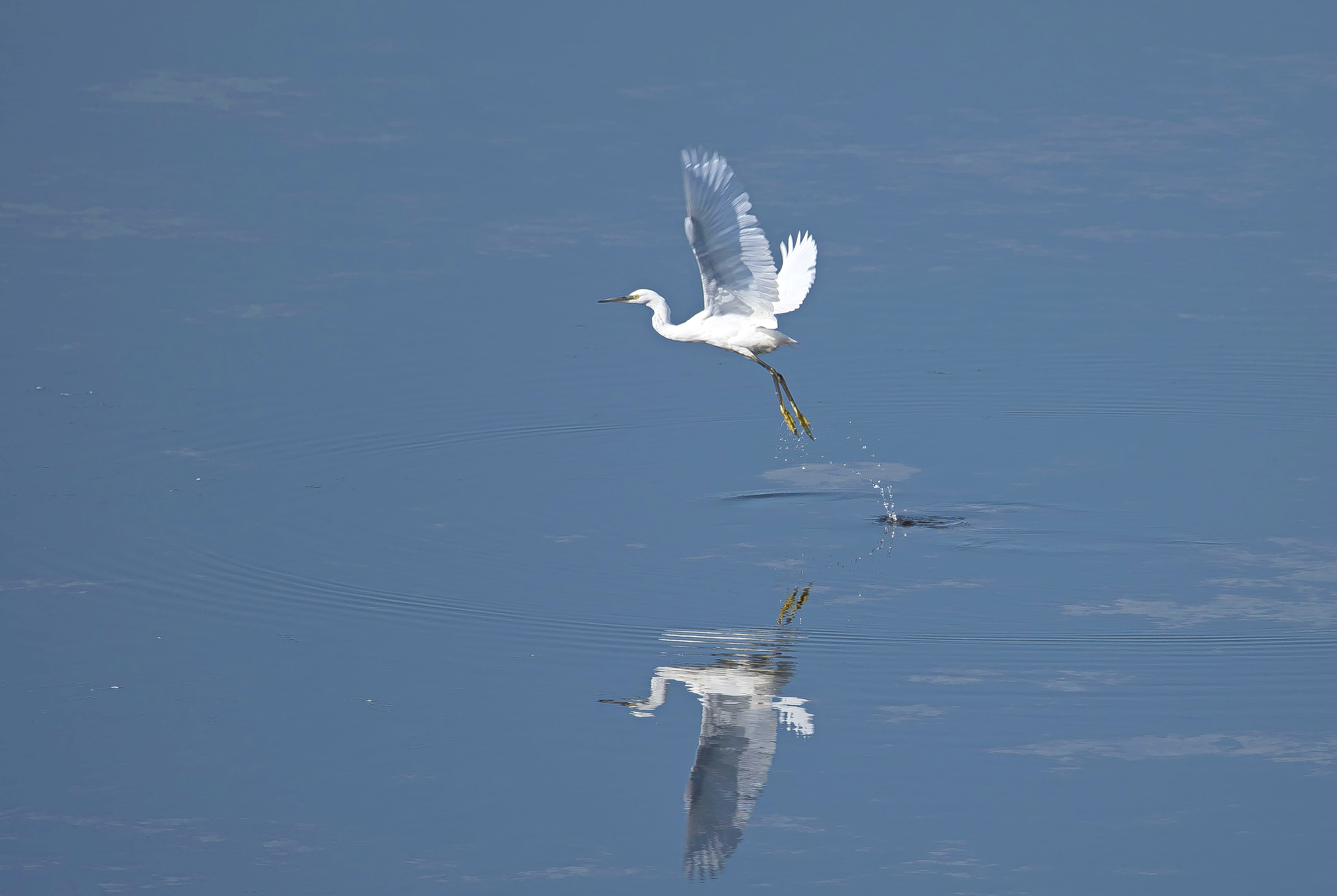 kl zilver2 Flaes 13082022,8