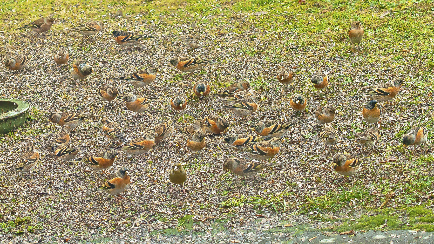 kepen102022019,1_bewerkt-2 web